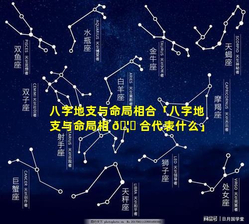 八字地支与命局相合「八字地支与命局相 🦊 合代表什么」